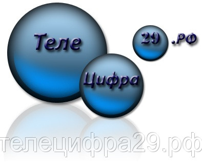 Логотип ТЕЛЕЦИФРА29